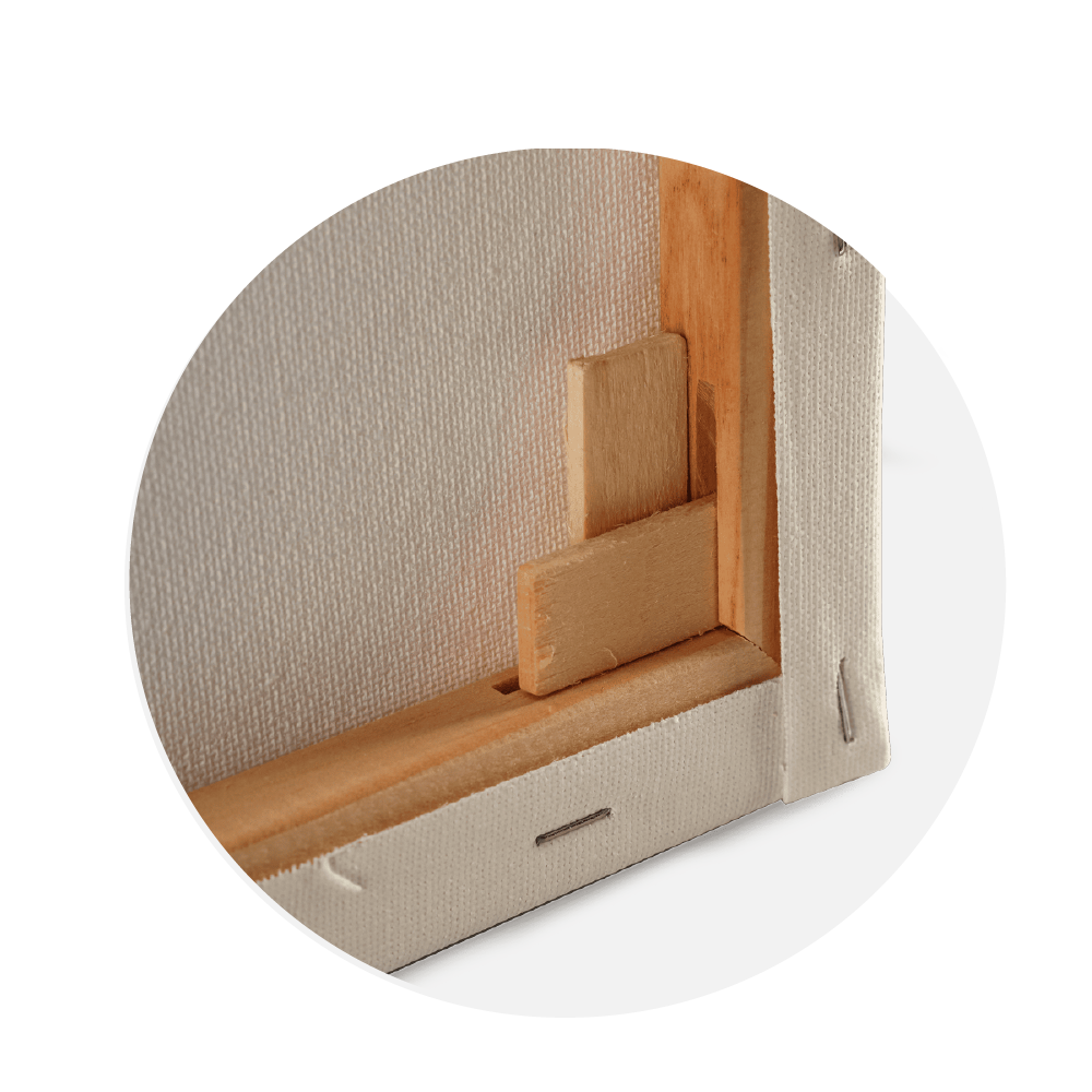 BASTIDORES - CANVAS - LIENZOS 